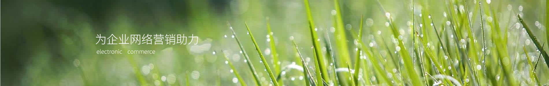 ĳǺ˶޹˾